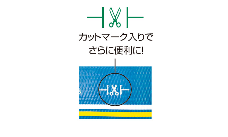 熱い販売 エコフラットホースECO-200-100m 排水 送水ホース 十川産業